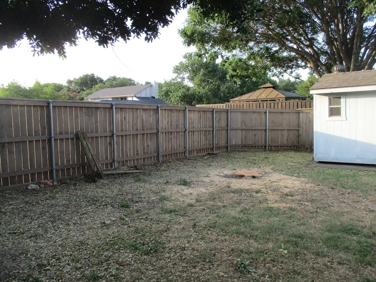 Cleared yard after professional tree removal in Dolan Springs